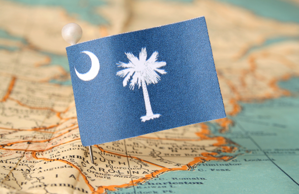 How Do I Choose the Right Home Security Company in South Carolina?